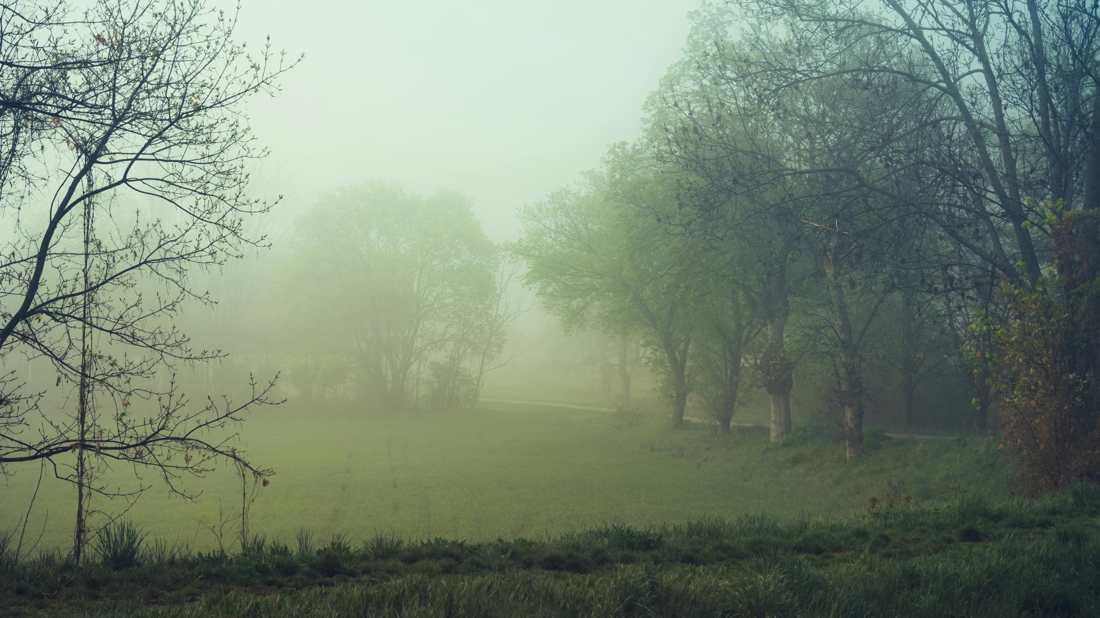 P1HubSoftMorningLight