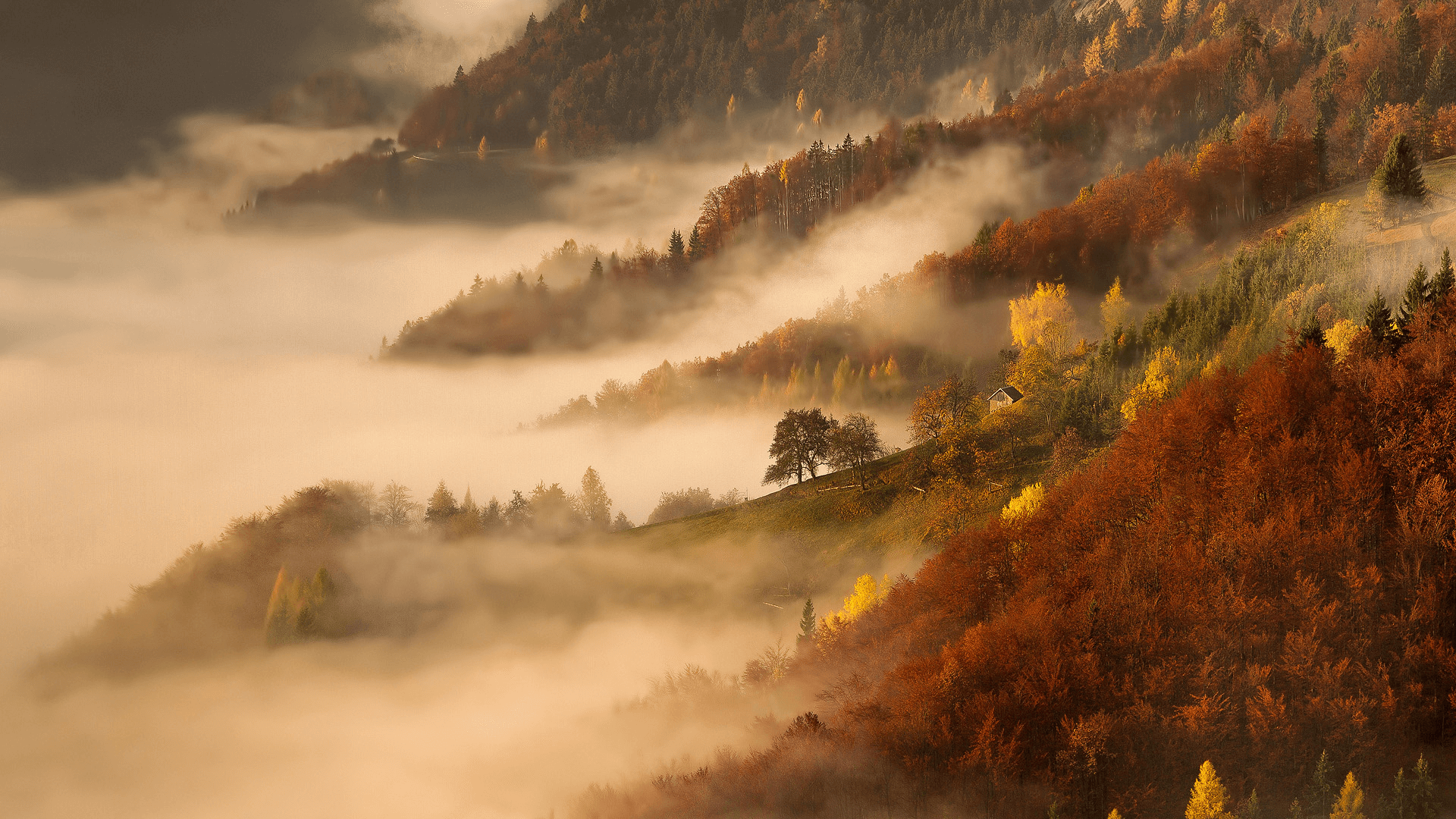 Soft mist over autumn hills, symbolising reflection and understanding behind the question “Why Am I An Empath?”