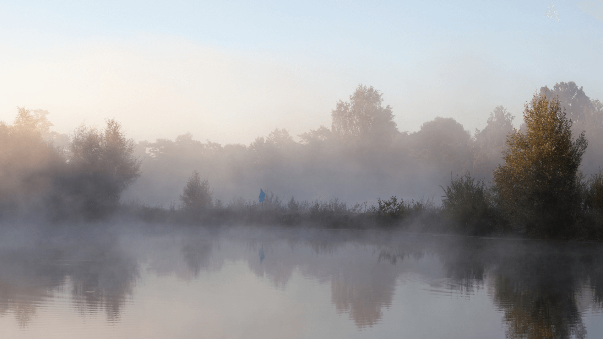 Misty riverside landscape reflecting calm and clarity, symbolising empath vs high sensitivity and the subtle overlap between emotional awareness and deep sensitivity.