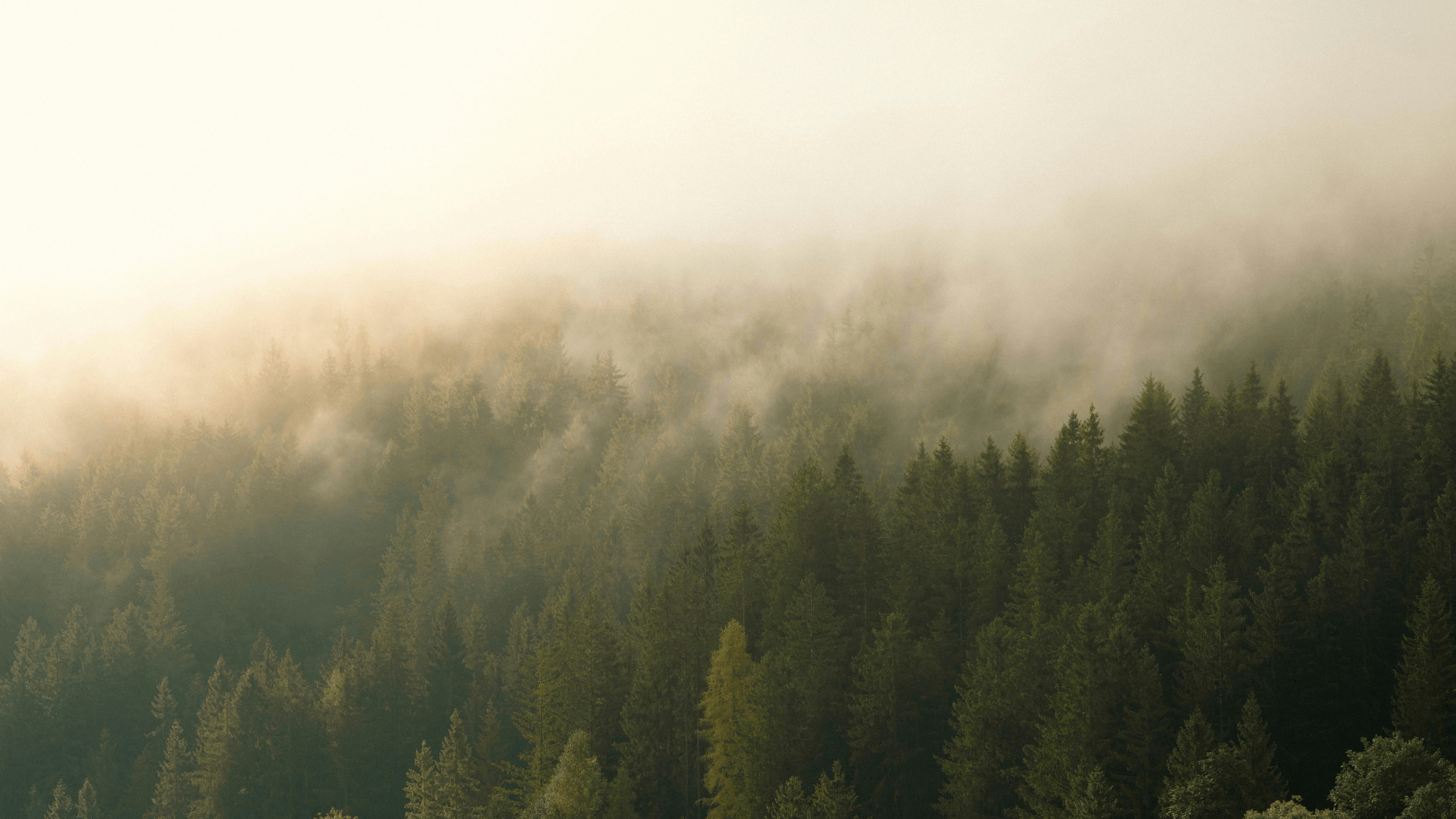 P3d Why Do I Feel Stuck