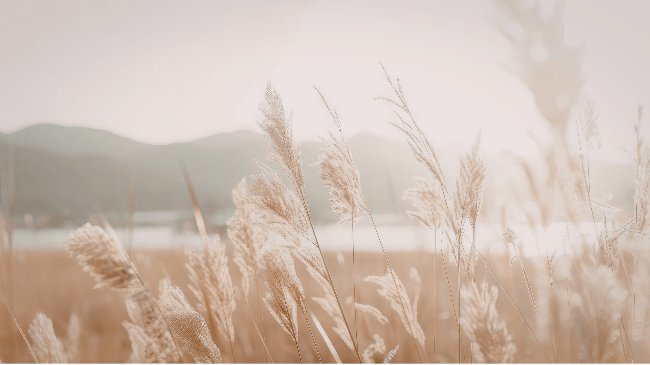 P3e How To Stop Over-Giving