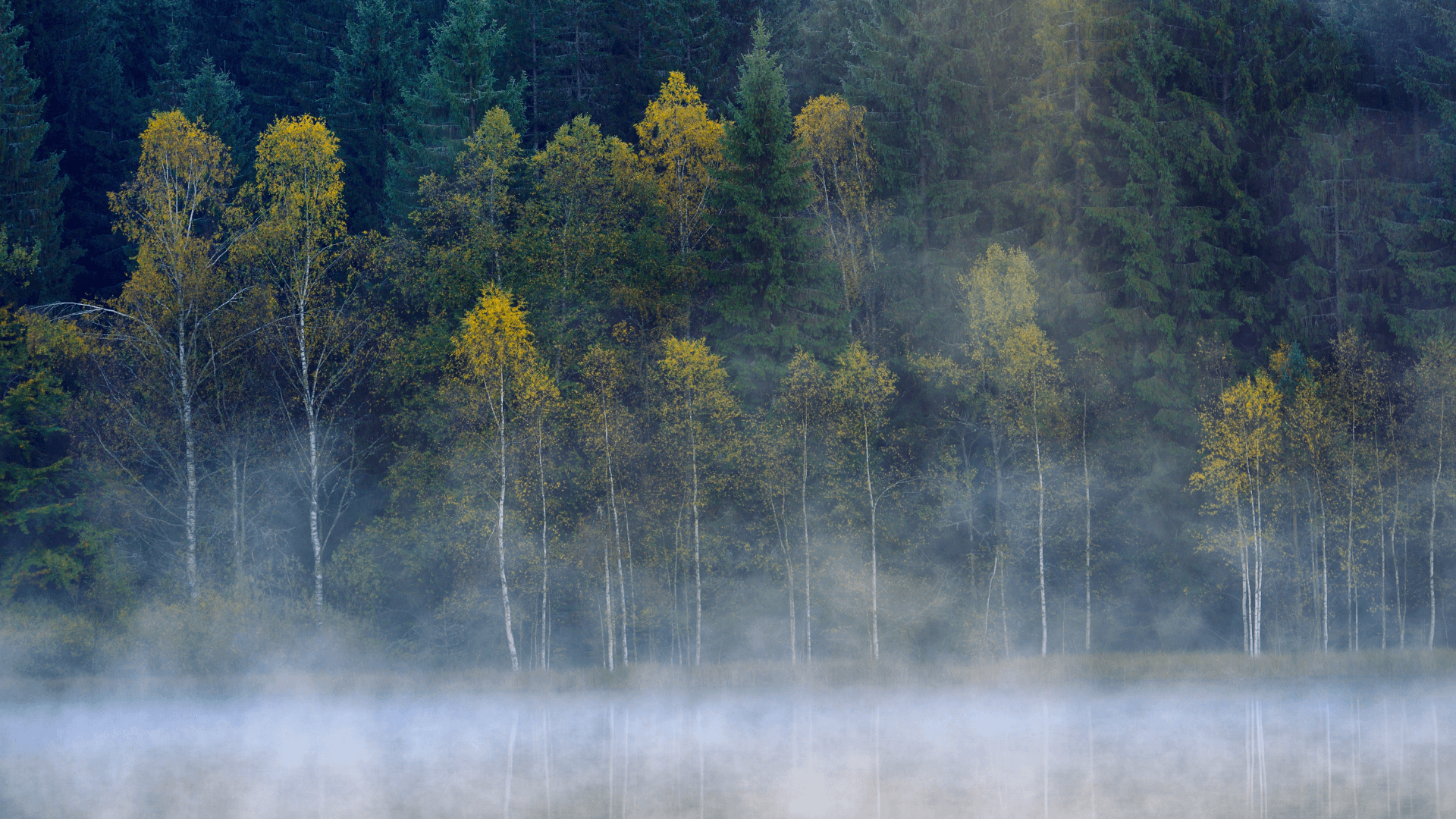 P3f Emotional Responsibility